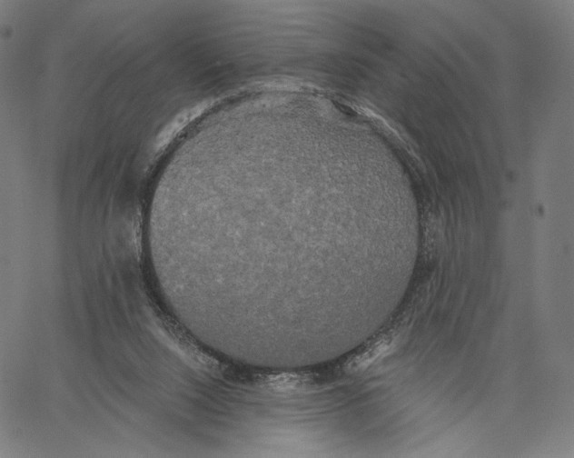 X0000067390064200604211644