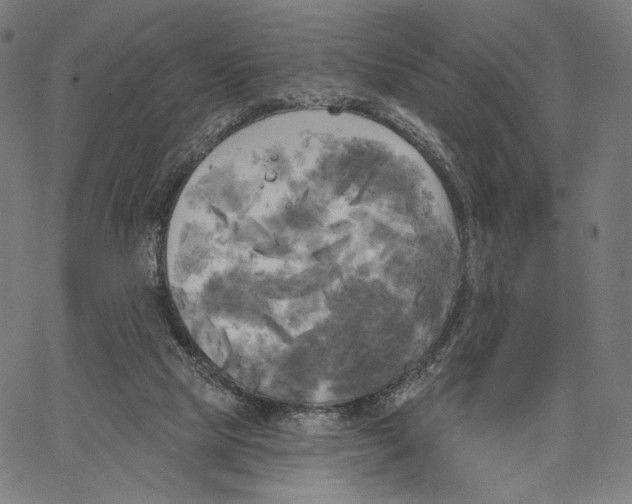 X0000067390065200604211644