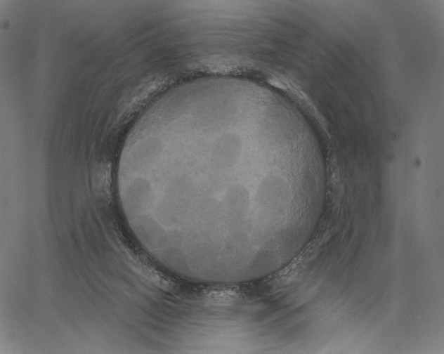 X0000067390066200604211644