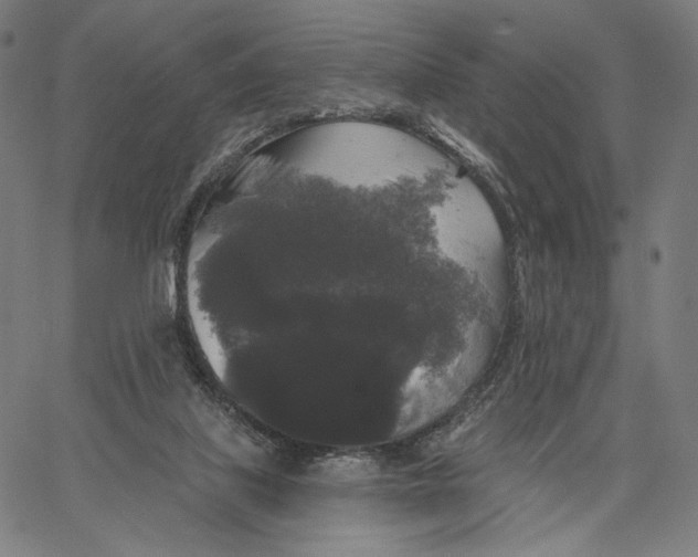 X0000067390067200604211644