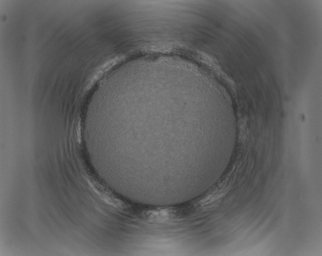 X0000067390068200604211644