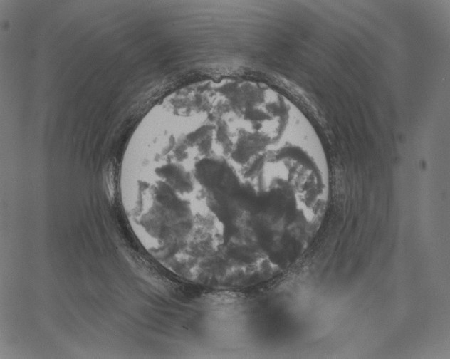 X0000067390069200604211644