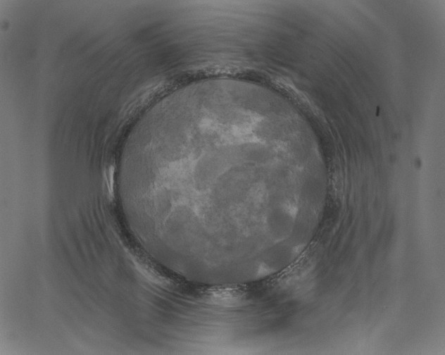 X0000067390070200604211644