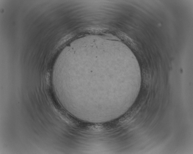 X0000067390071200604211644