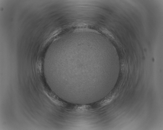 X0000067390072200604211644