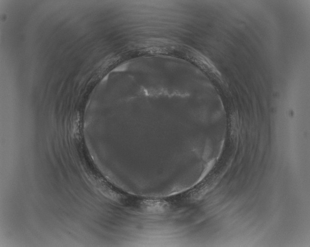 X0000067390073200604211644