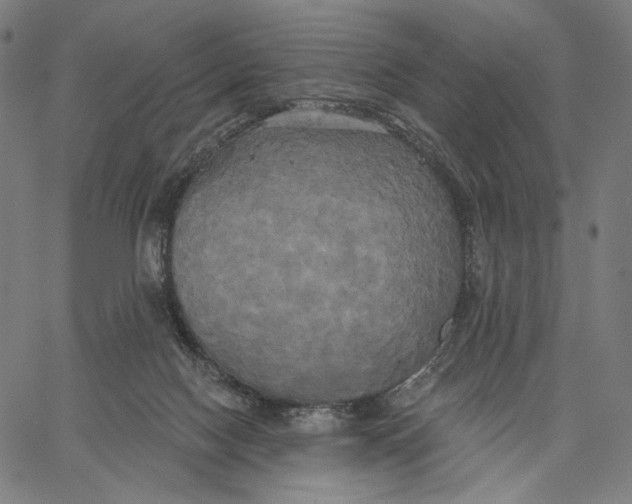 X0000067390074200604211644