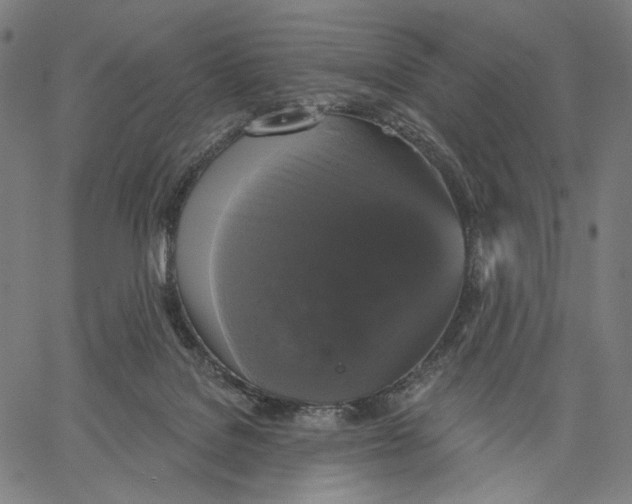 X0000067390076200604211644