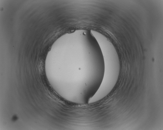 X0000067390077200604211644