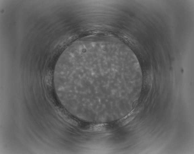 X0000067390078200604211644