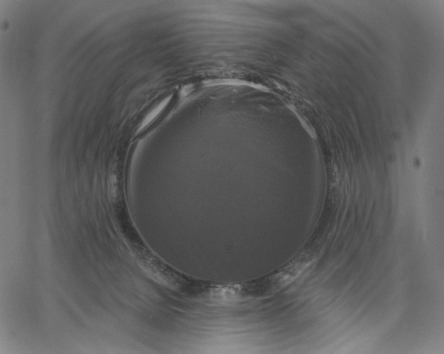 X0000067390080200604211644