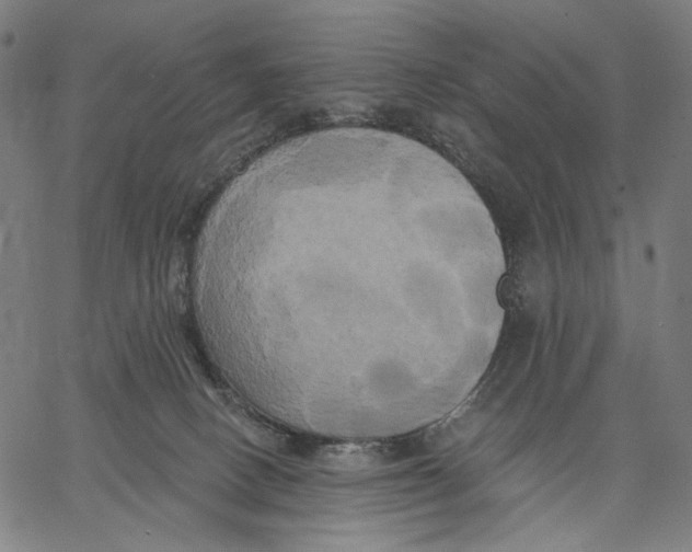 X0000067390082200604211644