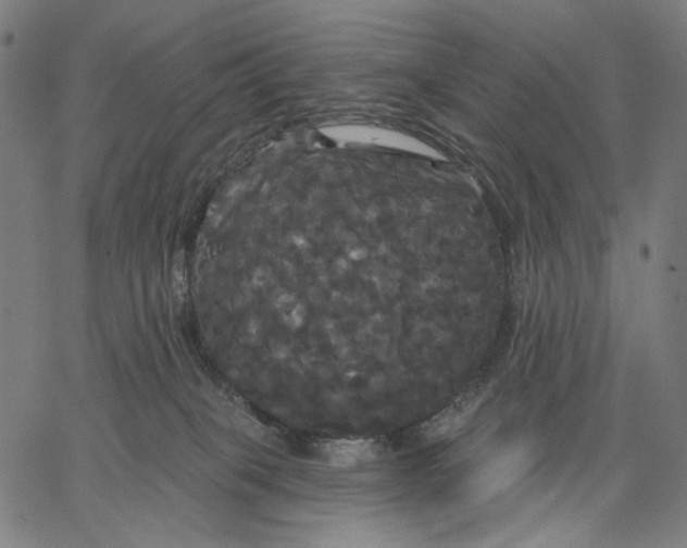 X0000067390085200604211644