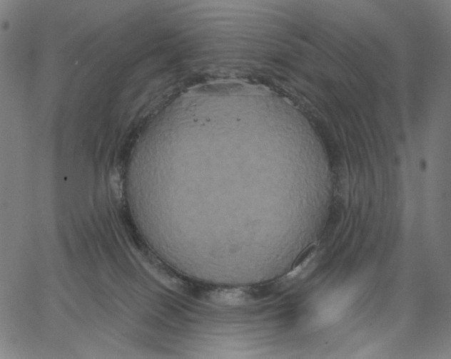 X0000067390086200604211644