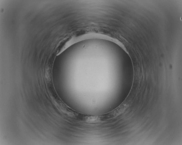 X0000067390088200604211644