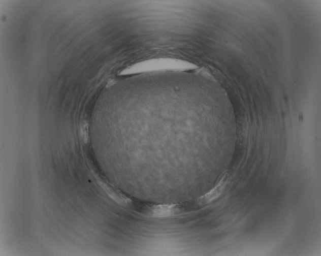 X0000067390090200604211644