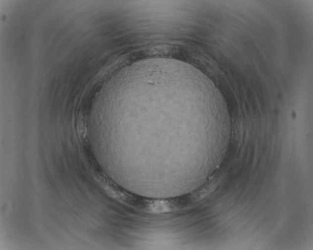 X0000067390091200604211644