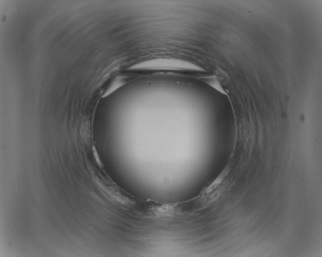 X0000067390092200604211644