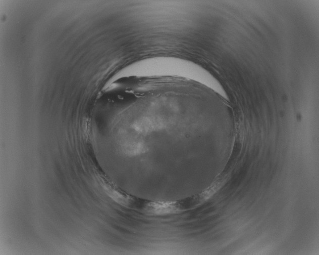 X0000067390093200604211644