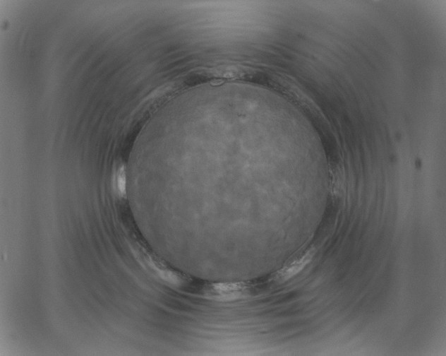 X0000067390095200604211644