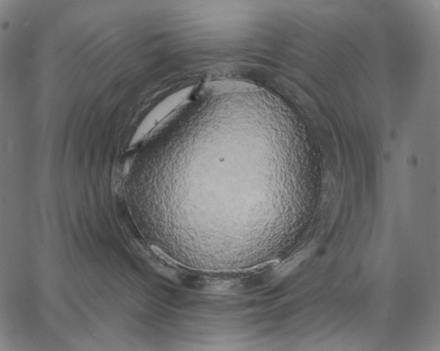 X0000067390096200604211644