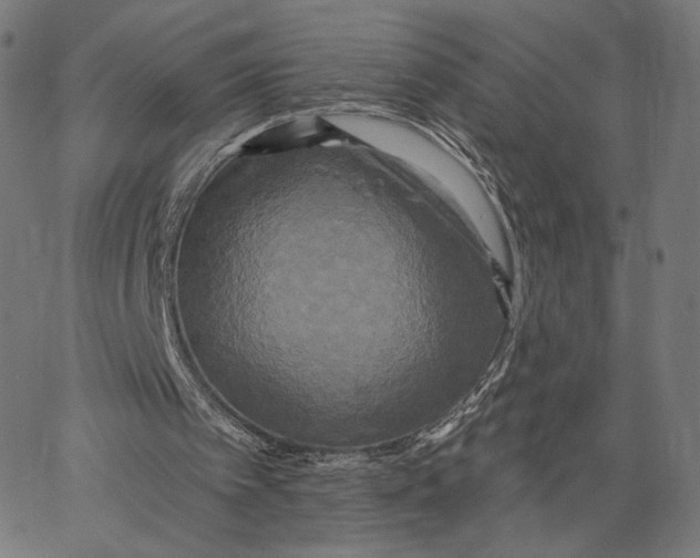 X0000067390097200604211644