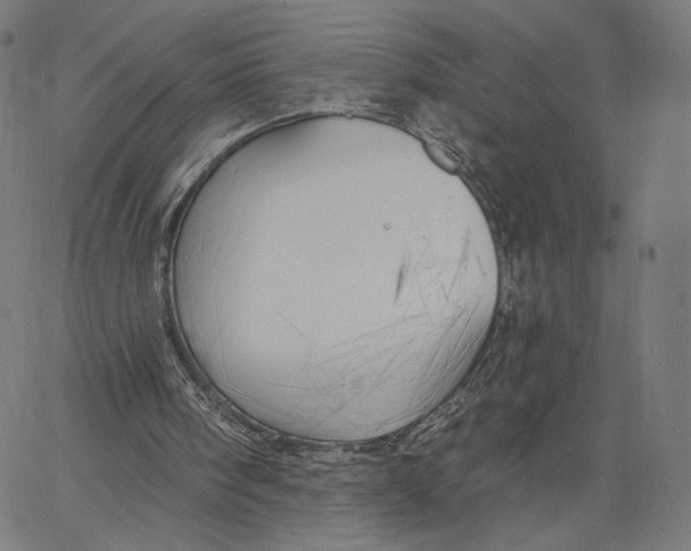 X0000067390098200604211644