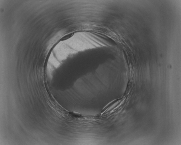 X0000067390099200604211644