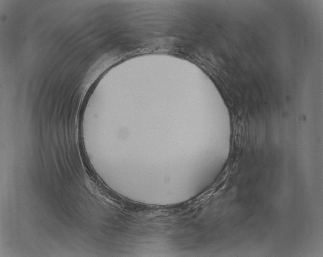 X0000067390100200604211644