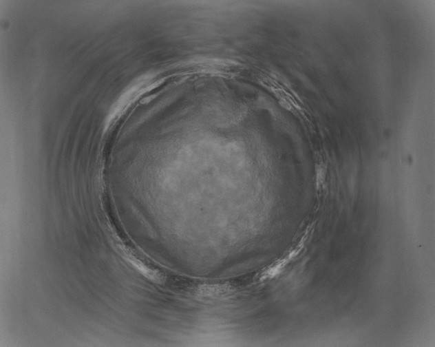 X0000067390101200604211644