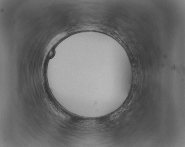 X0000067390104200604211643