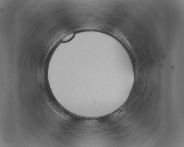 X0000067390108200604211643