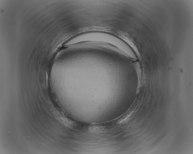 X0000067390109200604211643