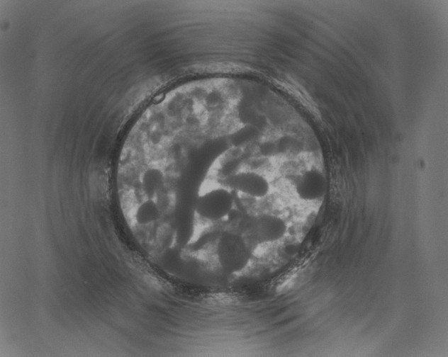 X0000067390111200604211643