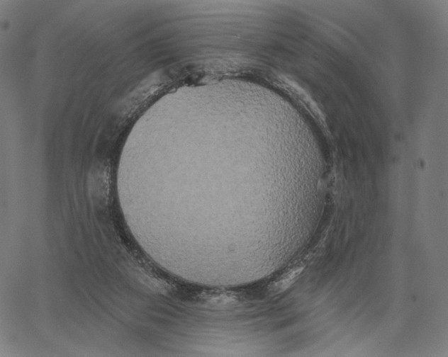 X0000067390113200604211643