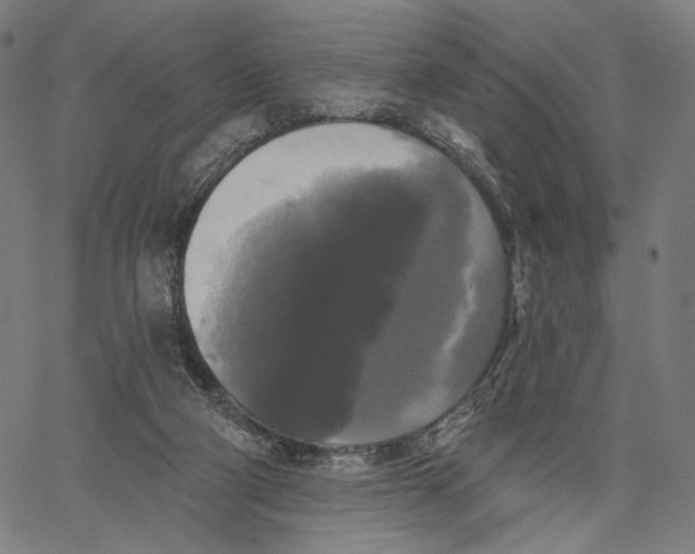 X0000067390114200604211643