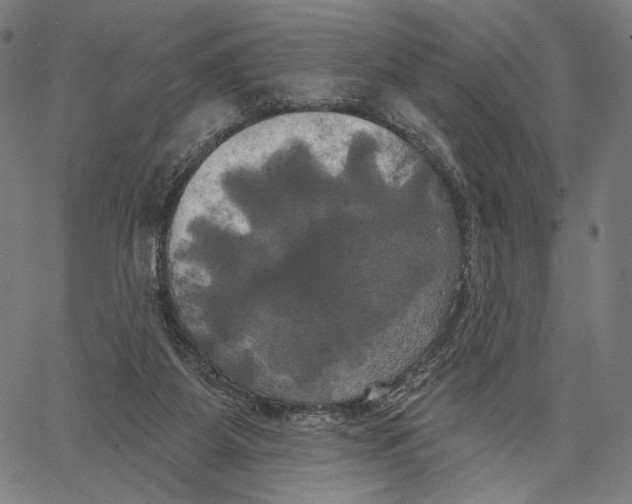 X0000067390115200604211643