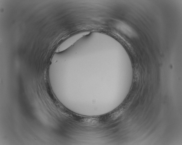 X0000067390117200604211643