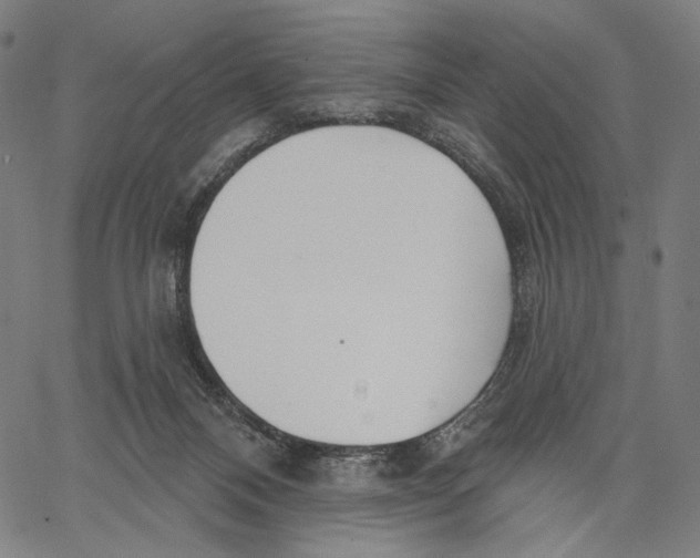 X0000067390120200604211643