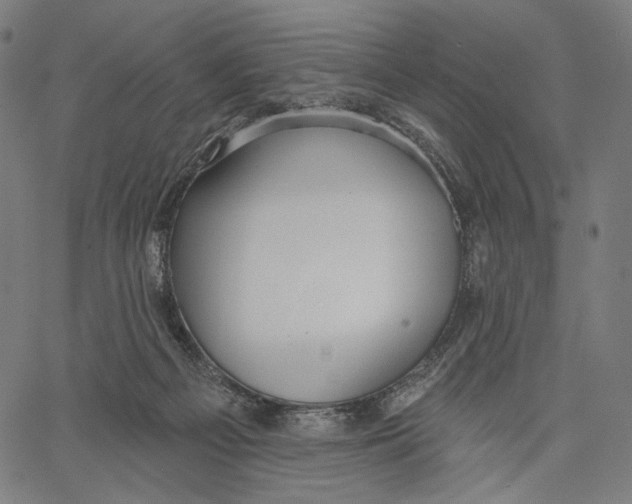 X0000067390121200604211643