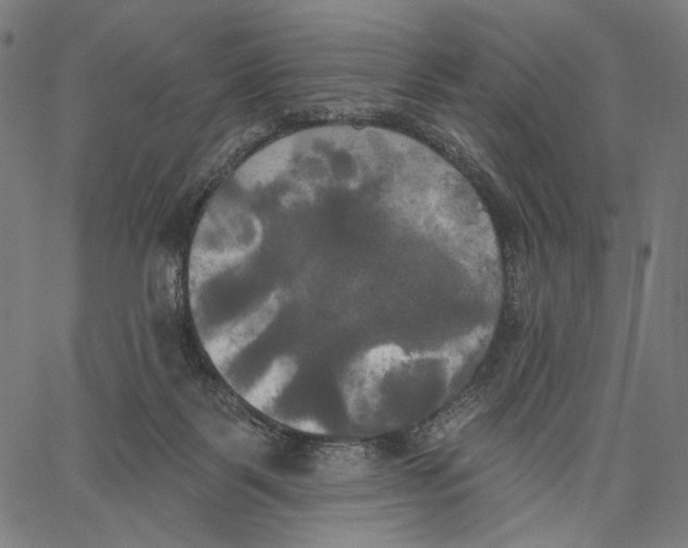 X0000067390123200604211643