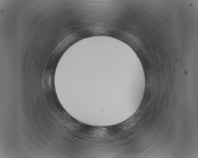 X0000067390124200604211643