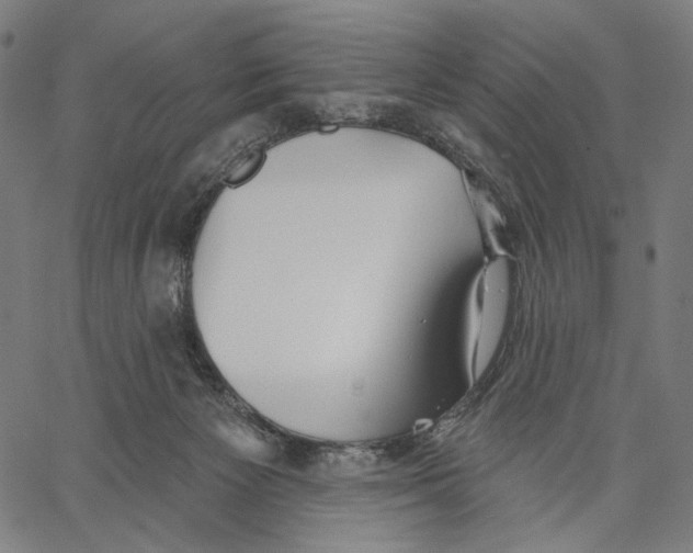 X0000067390125200604211643