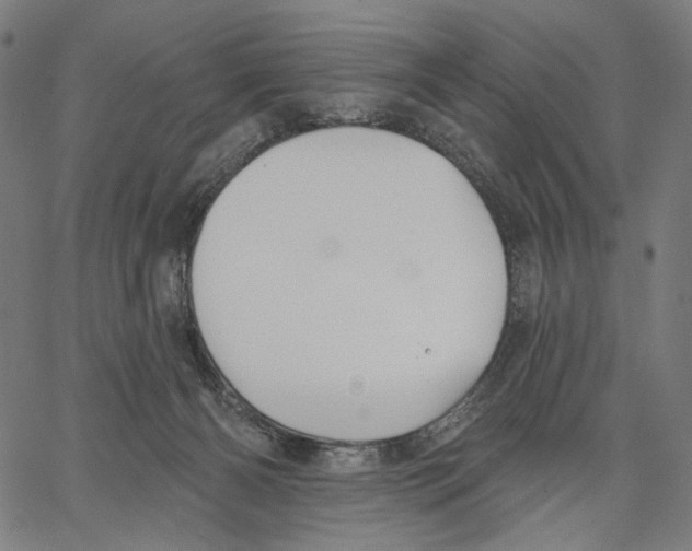 X0000067390126200604211643