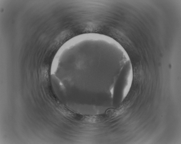 X0000067390127200604211643