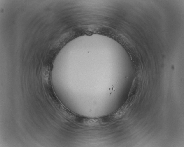 X0000067390129200604211643