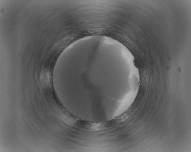 X0000067390130200604211643