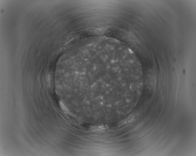 X0000067390131200604211643