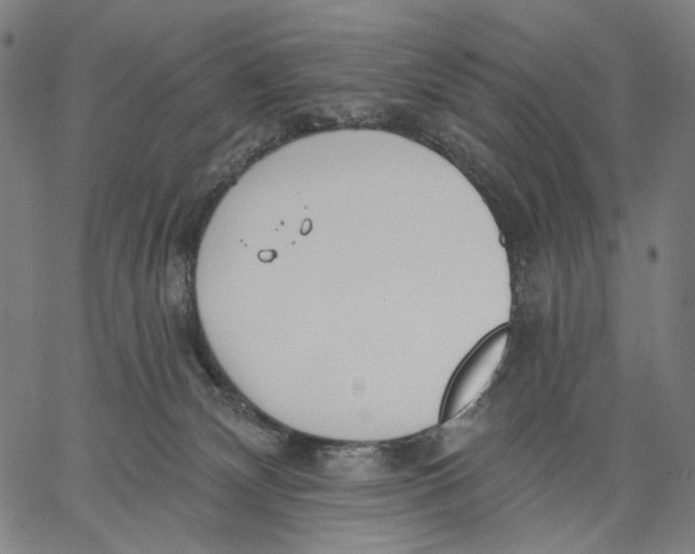 X0000067390132200604211643