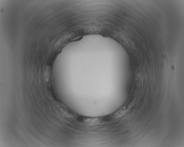 X0000067390133200604211643